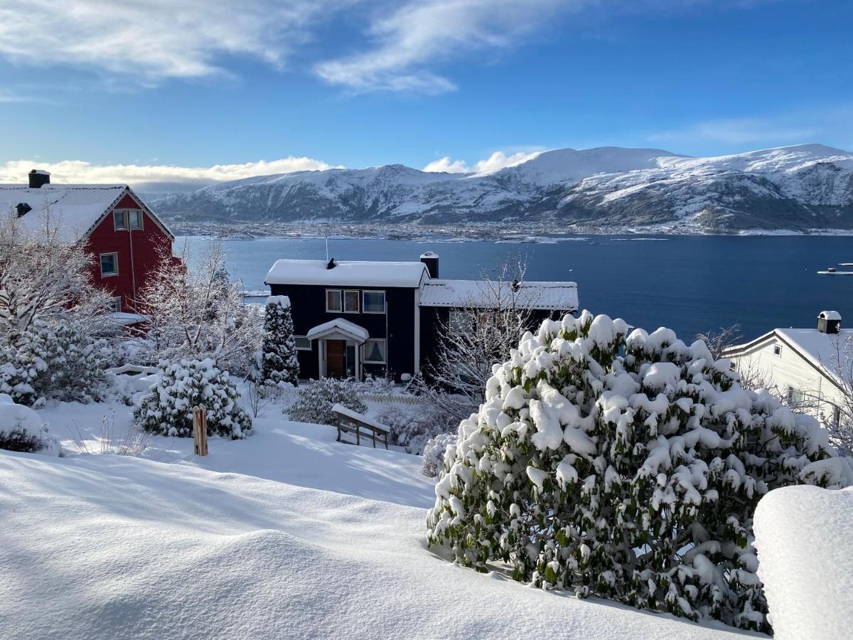 Great Place With View To The Mountains And Fjord Ålesund Zewnętrze zdjęcie